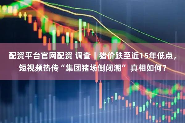 配资平台官网配资 调查｜猪价跌至近15年低点，短视频热传“集团猪场倒闭潮” 真相如何？