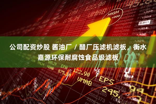 公司配资炒股 酱油厂 / 醋厂压滤机滤板，衡水嘉源环保耐腐蚀食品级滤板