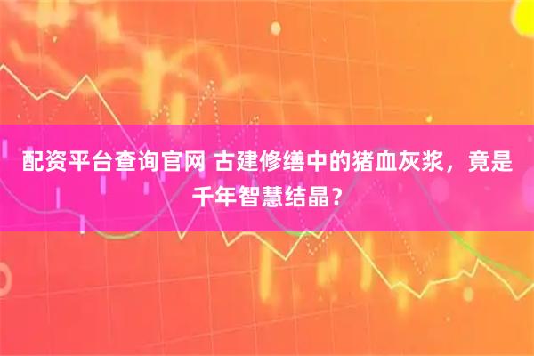 配资平台查询官网 古建修缮中的猪血灰浆，竟是千年智慧结晶？