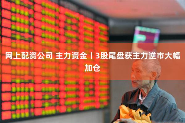 网上配资公司 主力资金丨3股尾盘获主力逆市大幅加仓